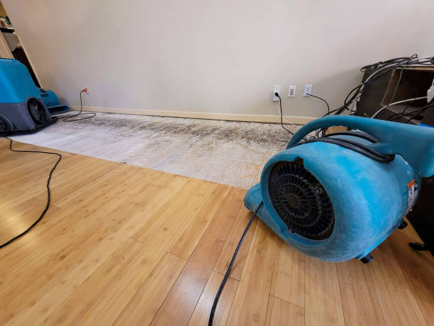 Professional Water Removal technician working in Boxborough, MA